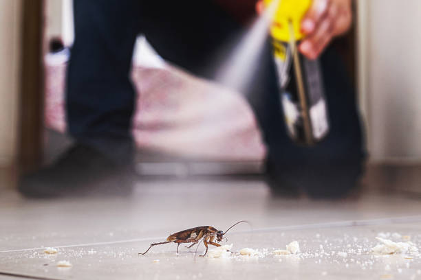 Best Commercial Pest Control Services  in Dumont, NJ