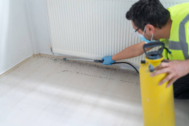 Reliable Dumont, NJ Pest Control Solutions