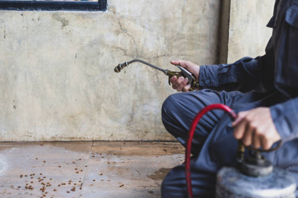 Pest Prevention Services in Dumont, NJ